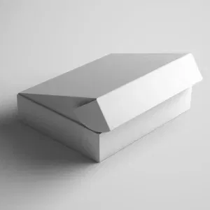 Blank Mailer Box