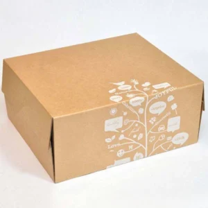 Custom E-commerce Retail Boxes