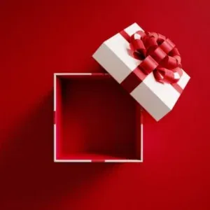 Custom Empty Christmas Boxes