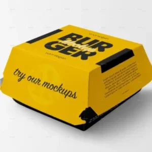 Custom Paper Burger Box