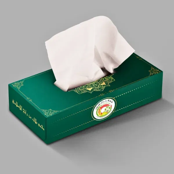 Ornate green tissue box with decorative elements