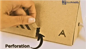 Perforated Packaging